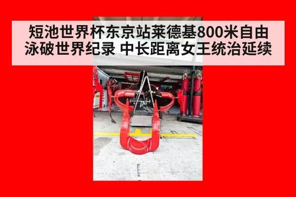 短池世界杯东京站莱德基800米自由泳破世界纪录 中长距离女王统治延续