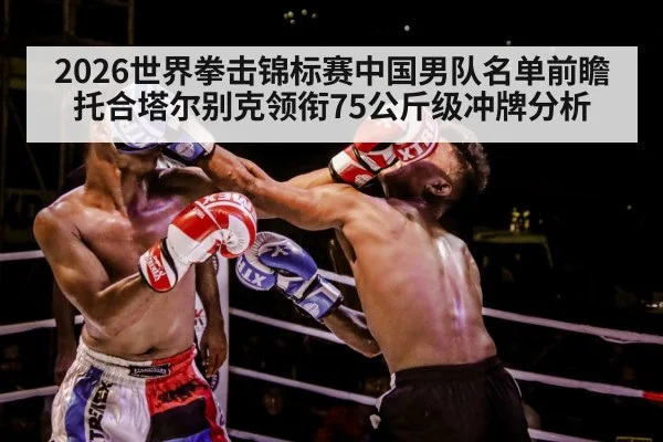 boxer training gloves